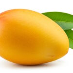 Kent Mango