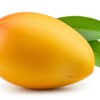 Kent Mango