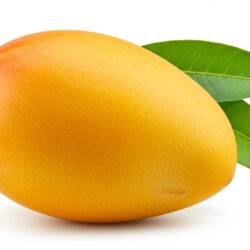 Kent Mango
