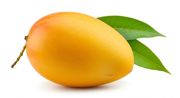 Kent Mango