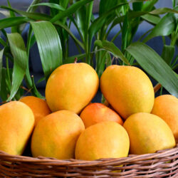 Kesar Mango