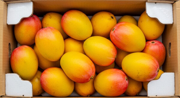 Rasalu Mango