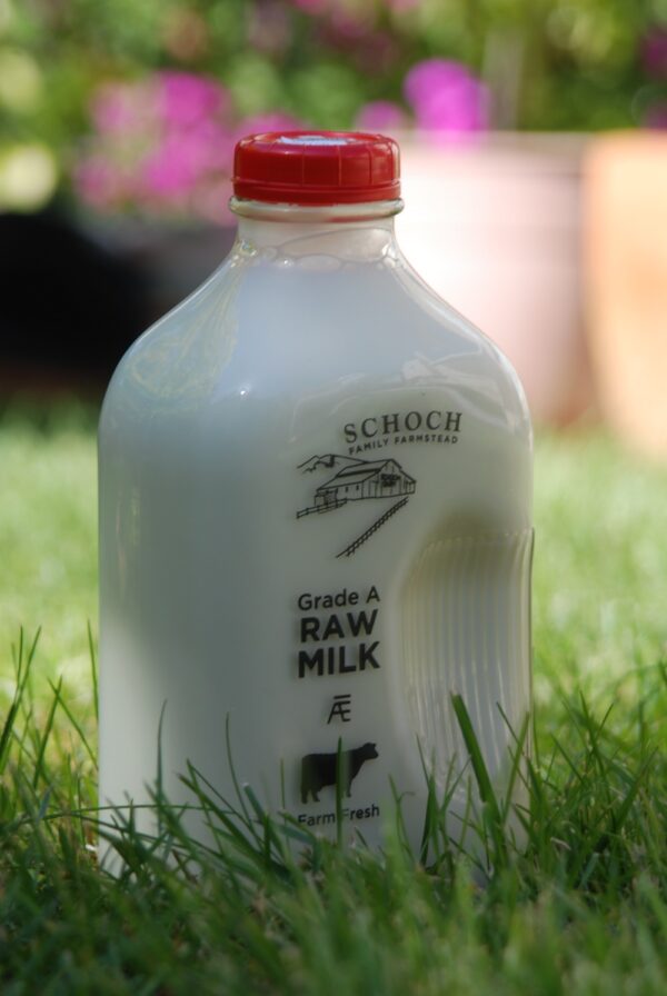 Raw Milk Half Gallon by Schoch Dairy