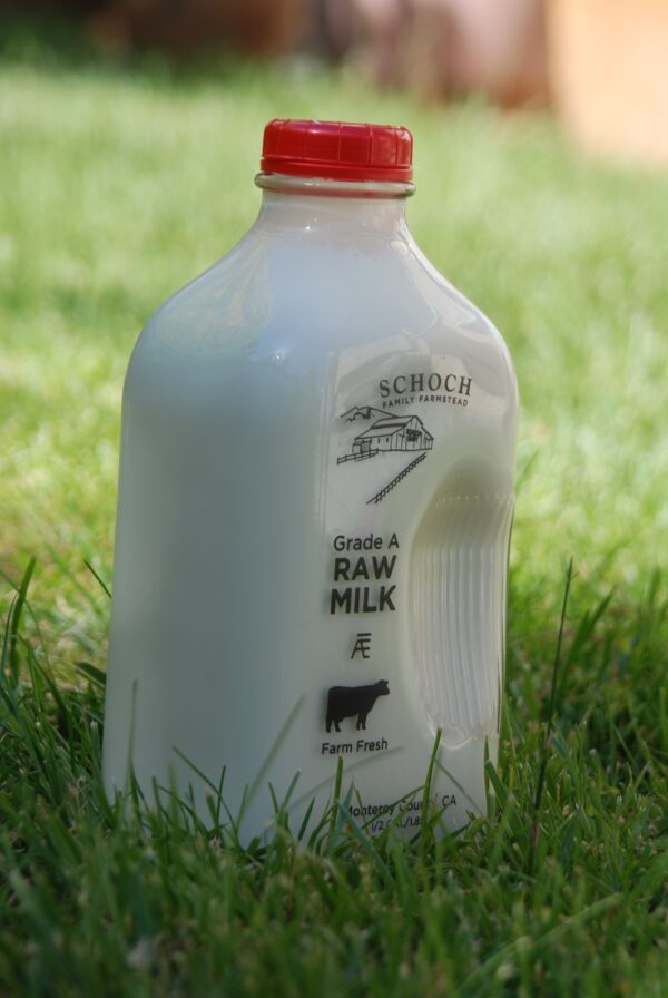 Raw Milk Half Gallon by Schoch Dairy