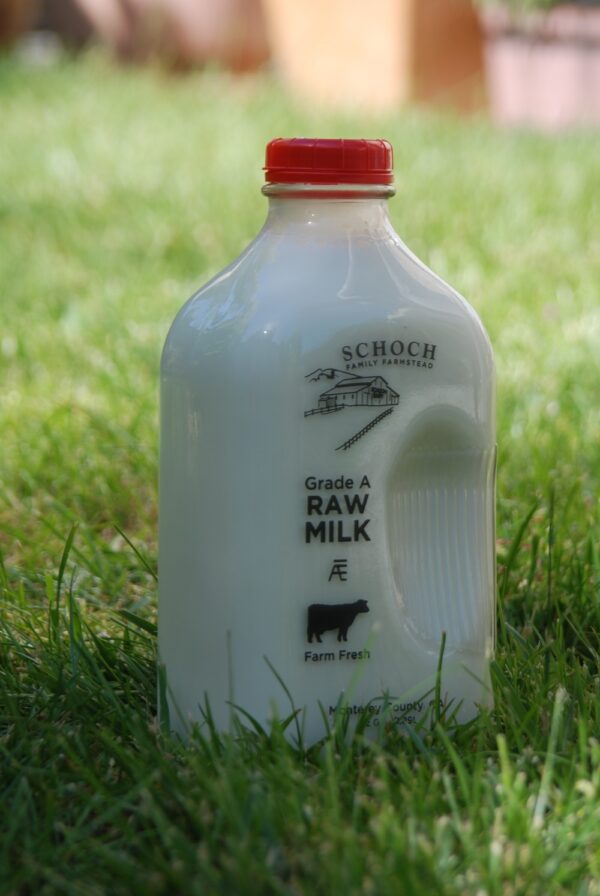 Raw Milk Half Gallon by Schoch Dairy