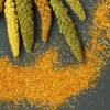 Multi Millet Adai Batter by Shastha Foods