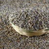 Pearl Millet Dosa Batter by Shastha Foods