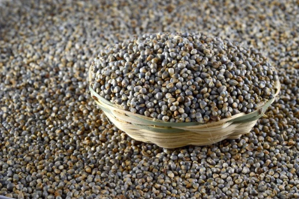 Pearl Millet Dosa Batter by Shastha Foods