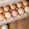 Farm Fresh Pasture-Raised Eggs (Non-GMO, Corn & Soy-Free) by Winters Fruit Tree