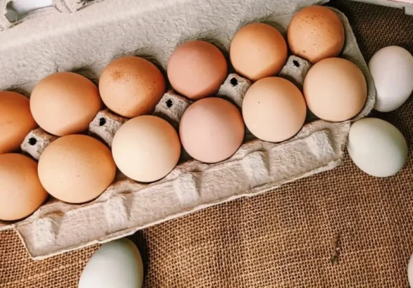 Farm Fresh Pasture-Raised Eggs (Non-GMO, Corn & Soy-Free) by Winters Fruit Tree