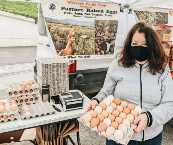 Farm Fresh Pasture-Raised Eggs (Non-GMO, Corn & Soy-Free) by Winters Fruit Tree