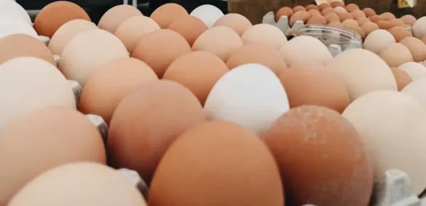 Farm Fresh Pasture-Raised Eggs (Non-GMO, Corn & Soy-Free) by Winters Fruit Tree