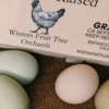 Farm Fresh Pasture-Raised Eggs (Non-GMO, Corn & Soy-Free) by Winters Fruit Tree