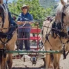 Raw Organic Walnuts – Bagged by Manzanita Manor Organics