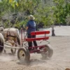 Raw Organic Walnuts – Bagged by Manzanita Manor Organics