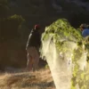 Raw Organic Walnuts – Bagged by Manzanita Manor Organics