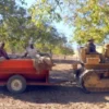 Raw Organic Walnuts – Bagged by Manzanita Manor Organics