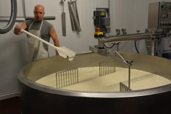 Monterey Farmstead Jack Cheese by Schoch Dairy