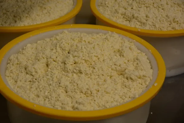 Monterey Farmstead Jack Cheese by Schoch Dairy