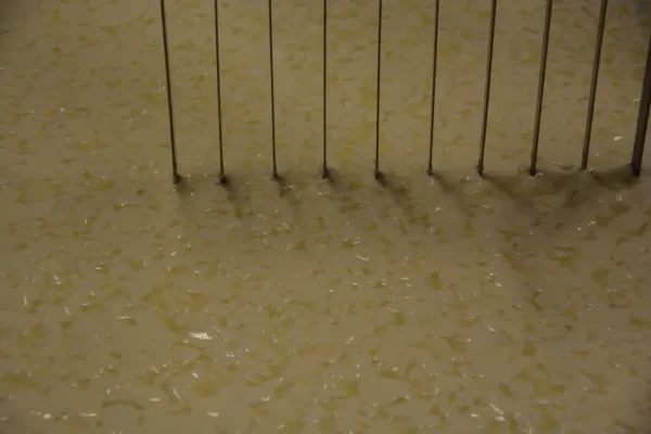 Monterey Farmstead Jack Cheese by Schoch Dairy