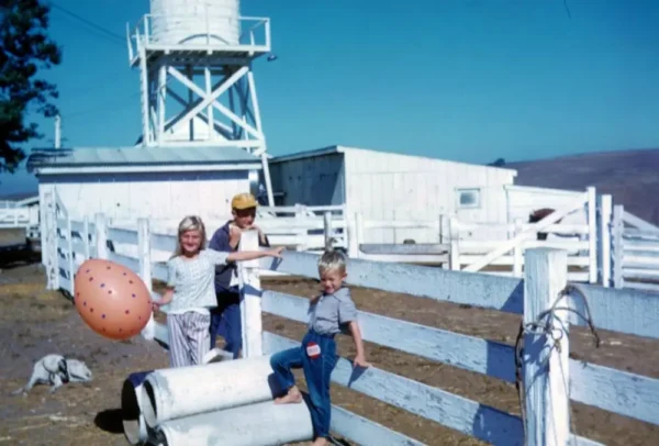 Monterey Farmstead Jack Cheese by Schoch Dairy