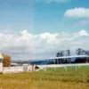 Monterey Farmstead Jack Cheese by Schoch Dairy