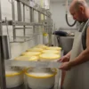 Monterey Farmstead Jack Cheese by Schoch Dairy