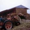 Monterey Farmstead Jack Cheese by Schoch Dairy