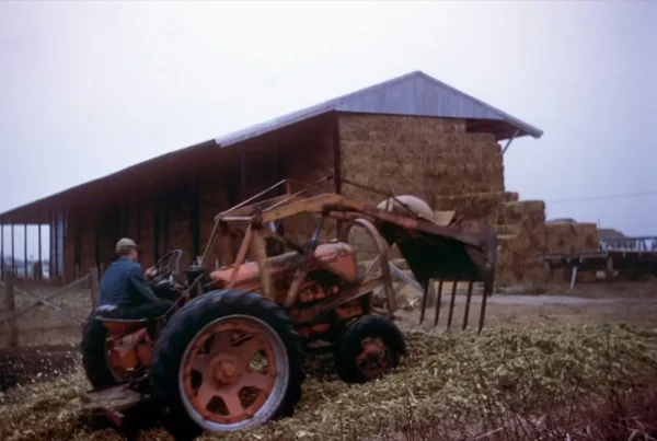 Monterey Farmstead Jack Cheese by Schoch Dairy