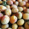 Sustainably Grown Fruits by Winters Fruit Tree