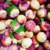 Sustainably Grown Fruits by Winters Fruit Tree