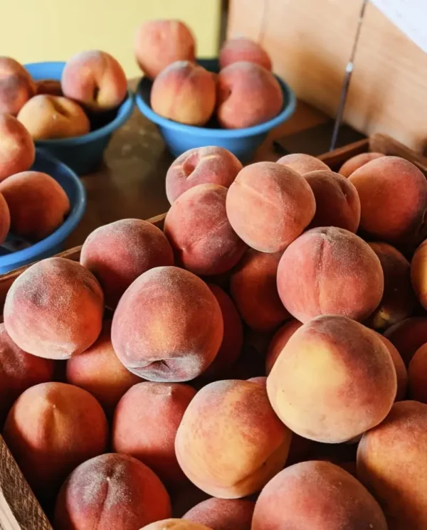 Sustainably Grown Fruits by Winters Fruit Tree