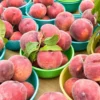 Sustainably Grown Fruits by Winters Fruit Tree